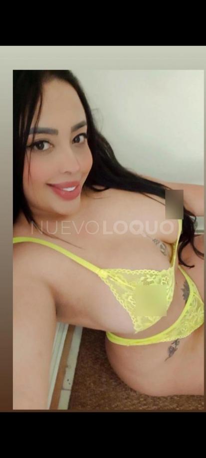NuevoLoquo3