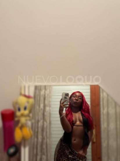 NuevoLoquo1