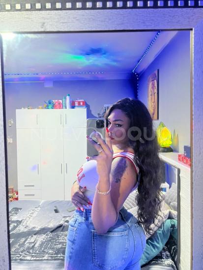 NuevoLoquo3