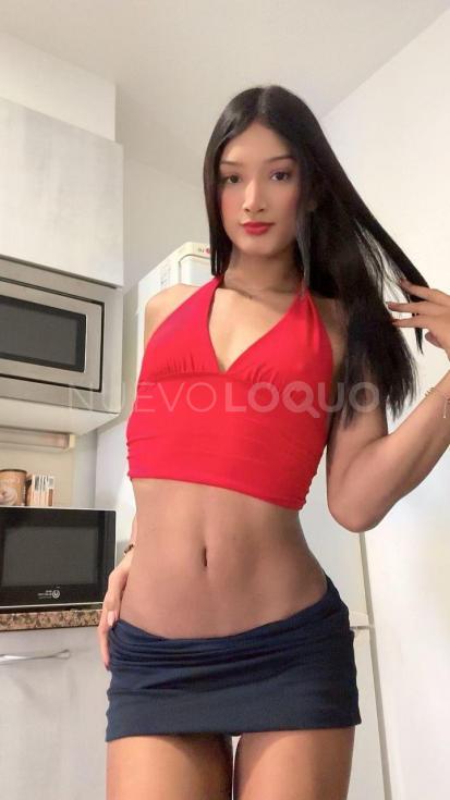 NuevoLoquo3
