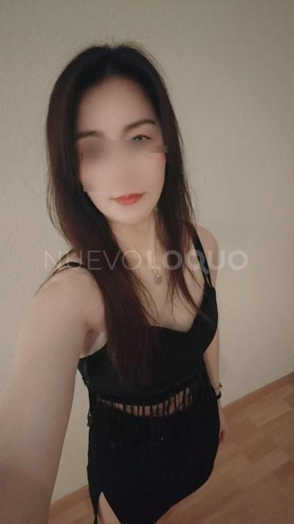 NuevoLoquo2
