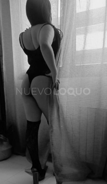 NuevoLoquo2