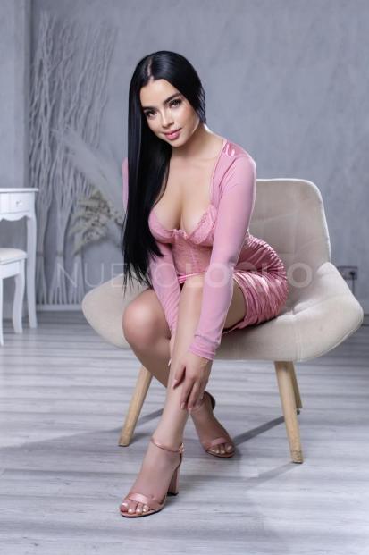 NuevoLoquo1
