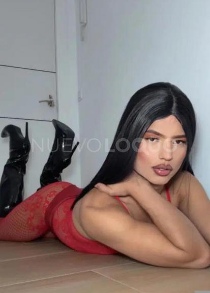 NuevoLoquo2