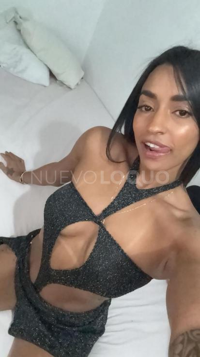 NuevoLoquo1