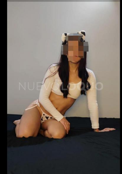 NuevoLoquo3