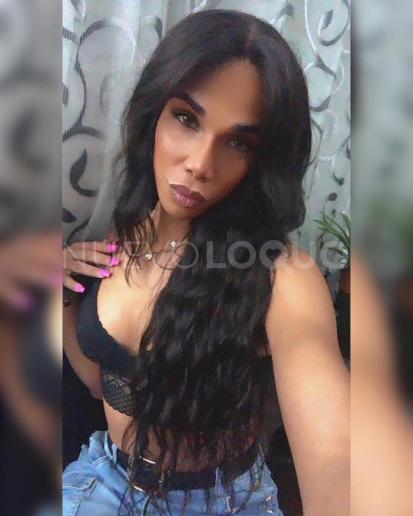 NuevoLoquo3