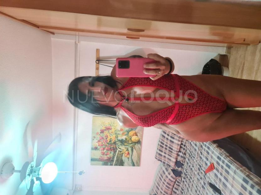 NuevoLoquo2