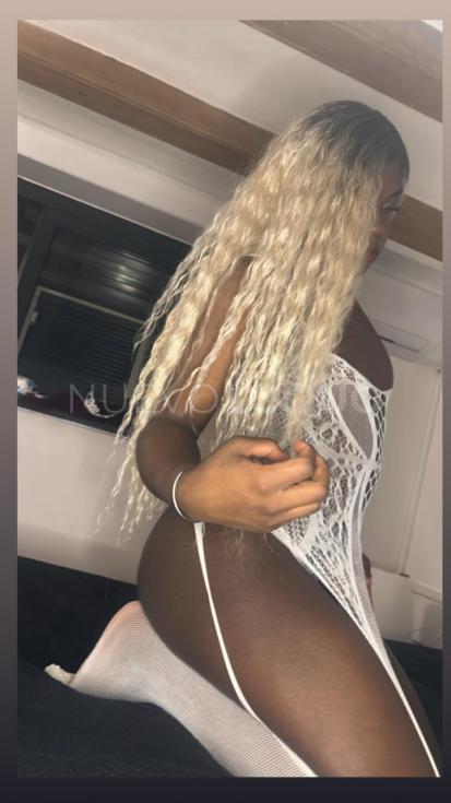  Bella Trans Colombiana
