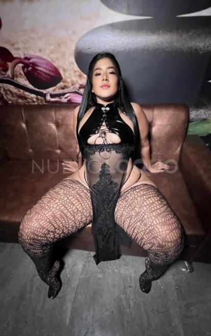 NuevoLoquo2