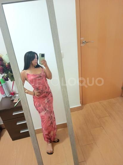 NuevoLoquo4