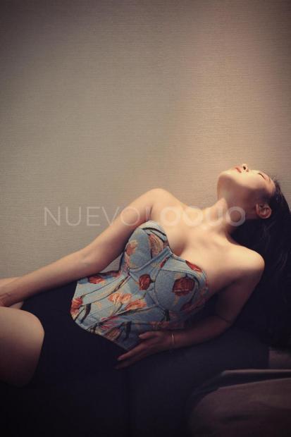 NuevoLoquo2