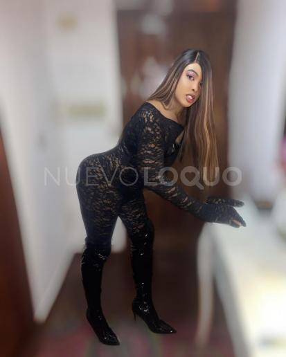 NuevoLoquo2