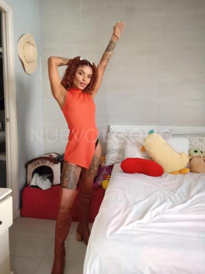 NuevoLoquo1