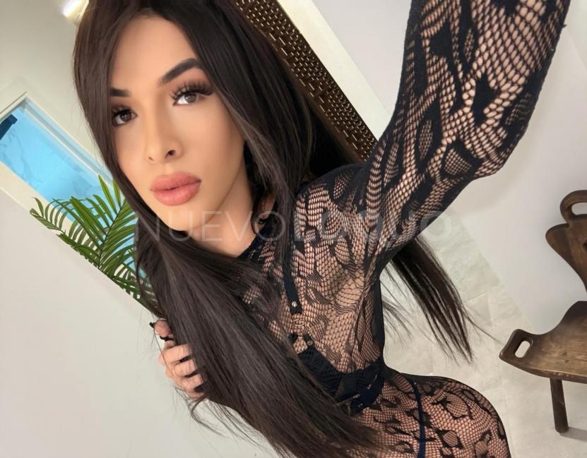NuevoLoquo1