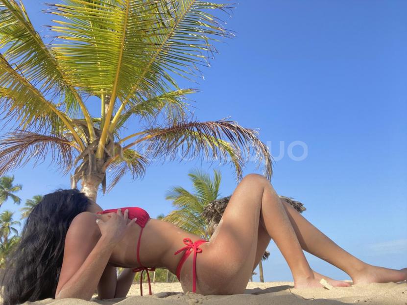 NuevoLoquo2