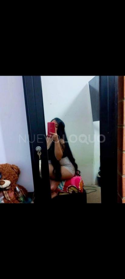 NuevoLoquo3