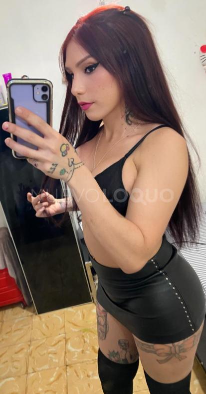 NuevoLoquo1