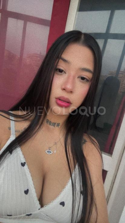 NuevoLoquo4
