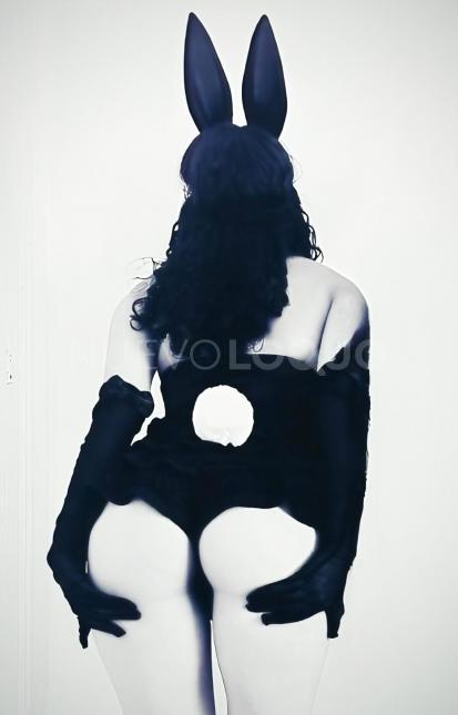 NuevoLoquo2