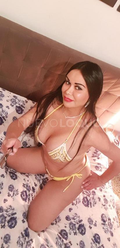 contactos pasion