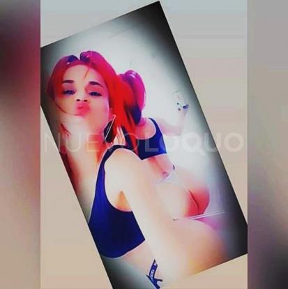 NuevoLoquo5