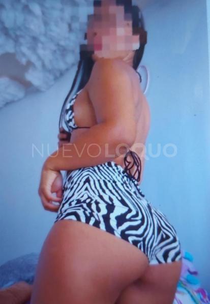 NuevoLoquo2