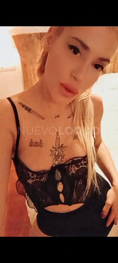 NuevoLoquo1