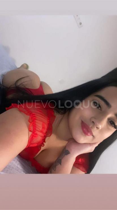 NuevoLoquo1