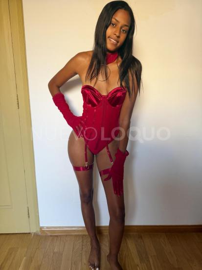 NuevoLoquo2
