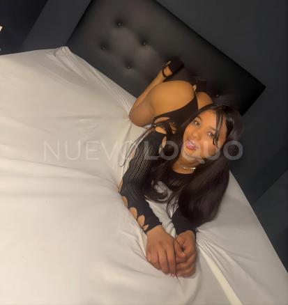 NuevoLoquo3