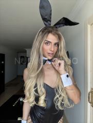 trans actitud