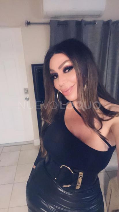 NuevoLoquo2