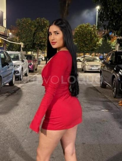 NuevoLoquo1