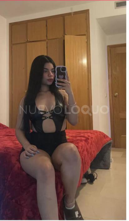 NuevoLoquo2