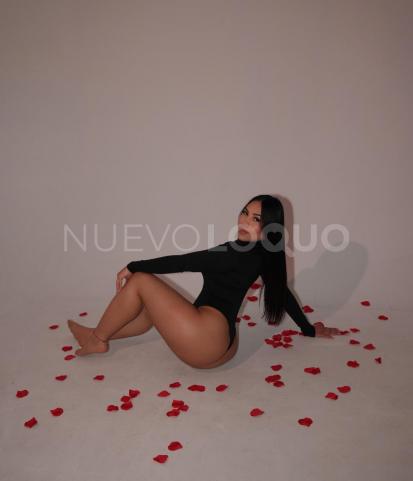 NuevoLoquo2