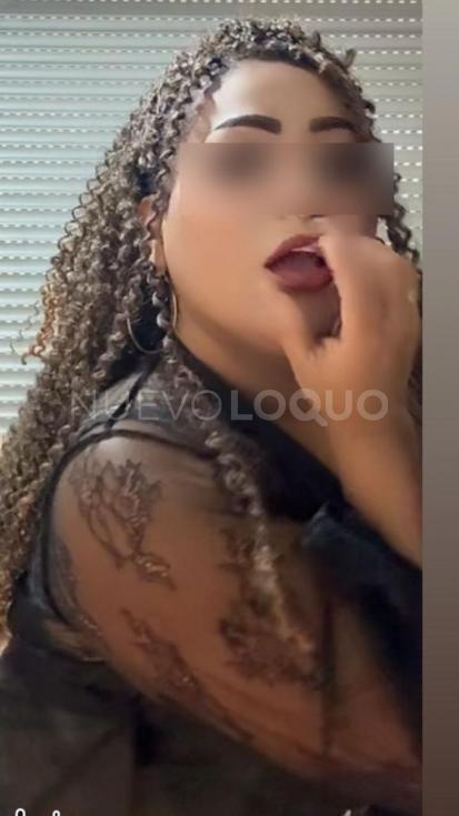 NuevoLoquo3