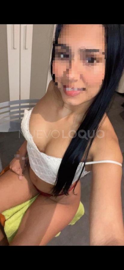  Rossi hermosa Latina