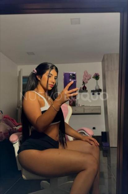 NuevoLoquo2