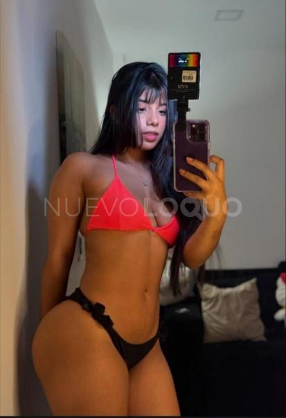 NuevoLoquo3