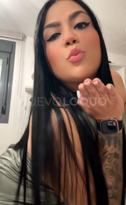 NuevoLoquo3