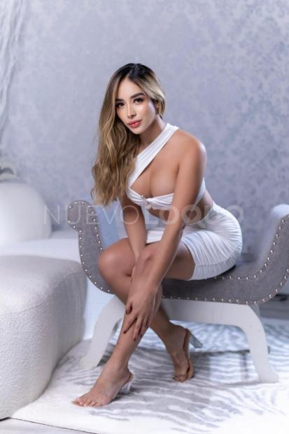 NuevoLoquo2