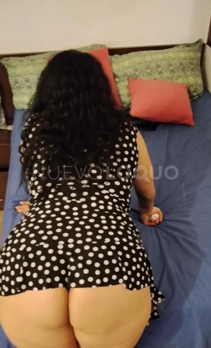 NuevoLoquo2