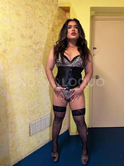 contactos pasion