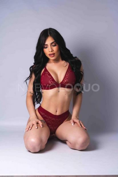 NuevoLoquo1