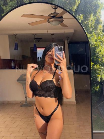 NuevoLoquo2