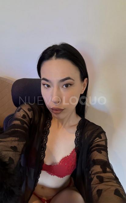 NuevoLoquo2