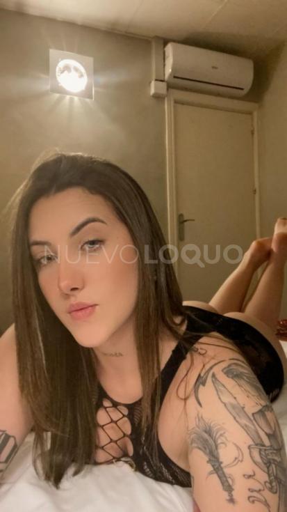 NuevoLoquo2
