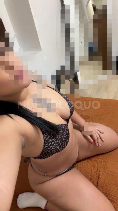 NuevoLoquo3