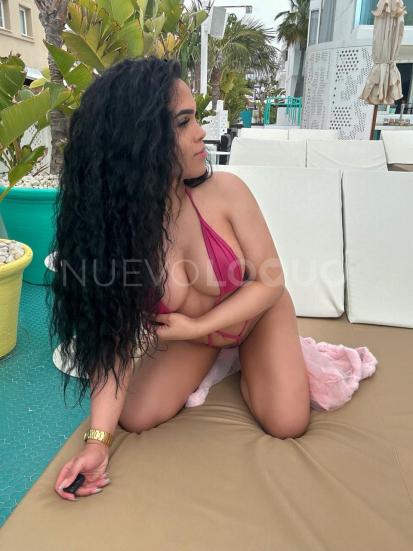 NuevoLoquo3